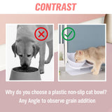 Dog Bowls, Feeders & Waterers: Black Double Cat Bowl Pet Bowl Stand Dog Elevated Feeder Food Water Raised Lifted