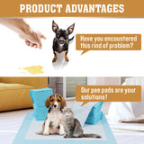 Dog Training Aids: VaKa Pet Training Pad 400 Puppy Pads Toilet Pee Indoor Absorbent 60x60cm Dog