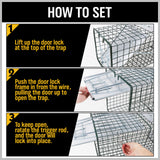 Animal Traps: VaKa Animal Trap Cage Humane Live Steel Catch Possum Fox Rat Cat Rabbit Bird