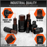 Hand Tools: HORUSDY 66Pcs Torx Bit Socket Female External Socket Set Impact Adapter Socket