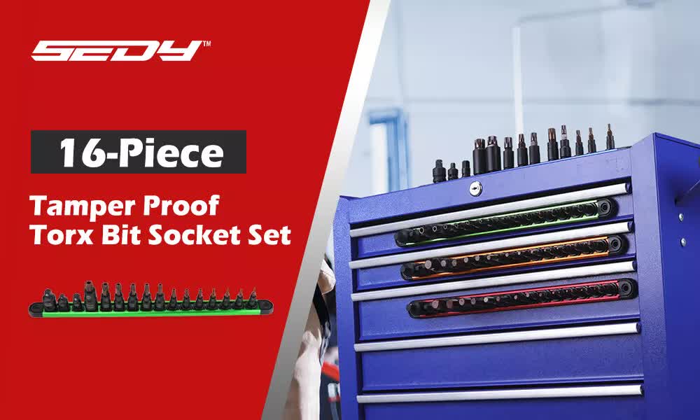 Tool Sockets: 16-Piece Torx Star Bit Socket Set Magnetic Socket Rail Organizer T8-T60 Adapters