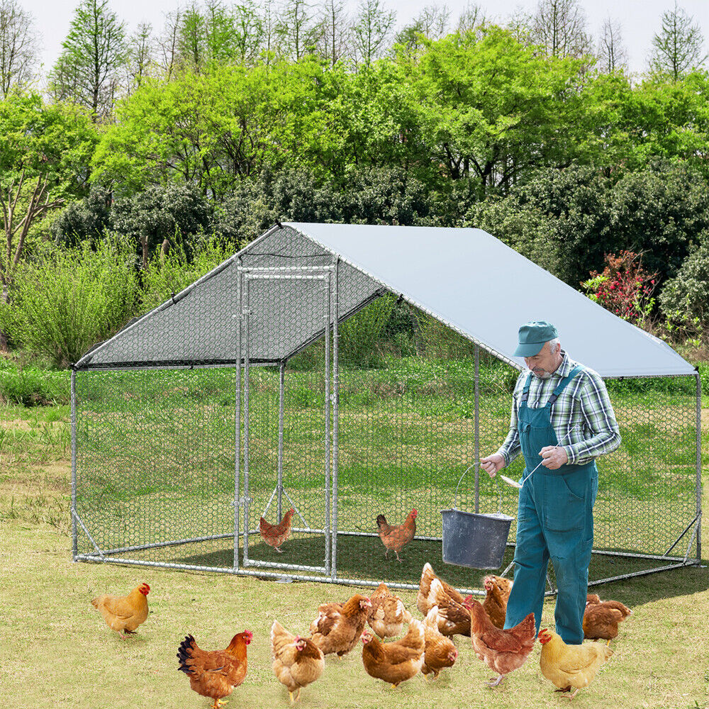 Small Animal Habitats & Cages: VaKa 3x2x1.95m Metal Walk-in Chicken Coop Rabbit Hutch Cage Hen House Chook Au