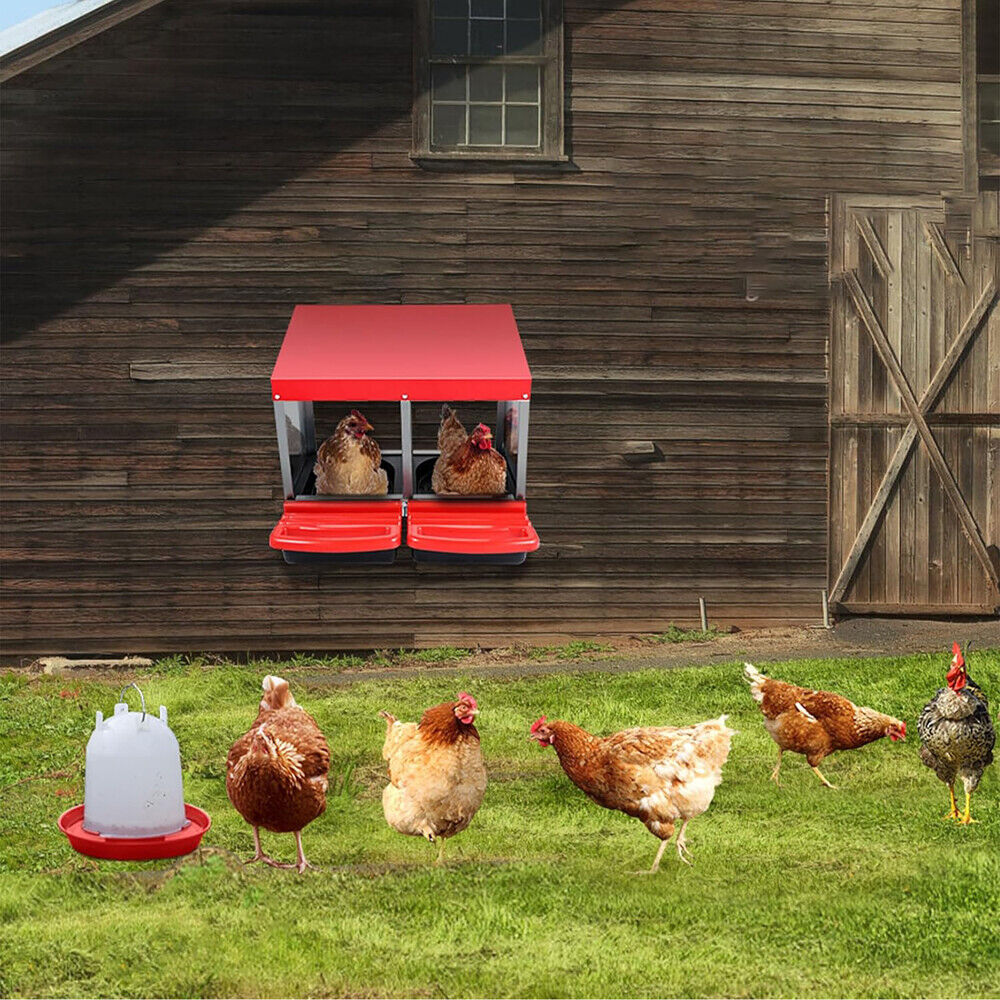 Small Animal Habitats & Cages: VaKa Chicken Hen Coop Hutch 2 Hole Inside Outside Roll Away Lay Egg Nesting Box
