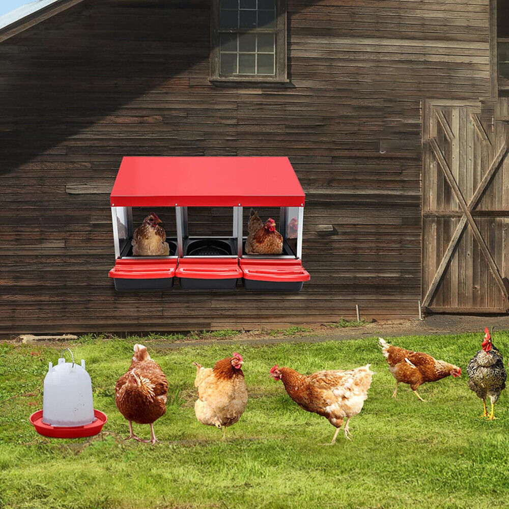 Small Animal Habitats & Cages: VaKa Chicken Hen Coop Hutch 3 Hole Inside Outside Roll Away Lay Egg Nesting Box