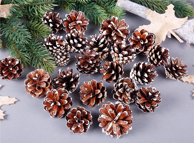 Christmas Trees: 18 Christmas Natural Pine Cones Xmas Tree Hanging Home Decoration Ornament Gifts, 18x Natural w Snow Covered Pinecones