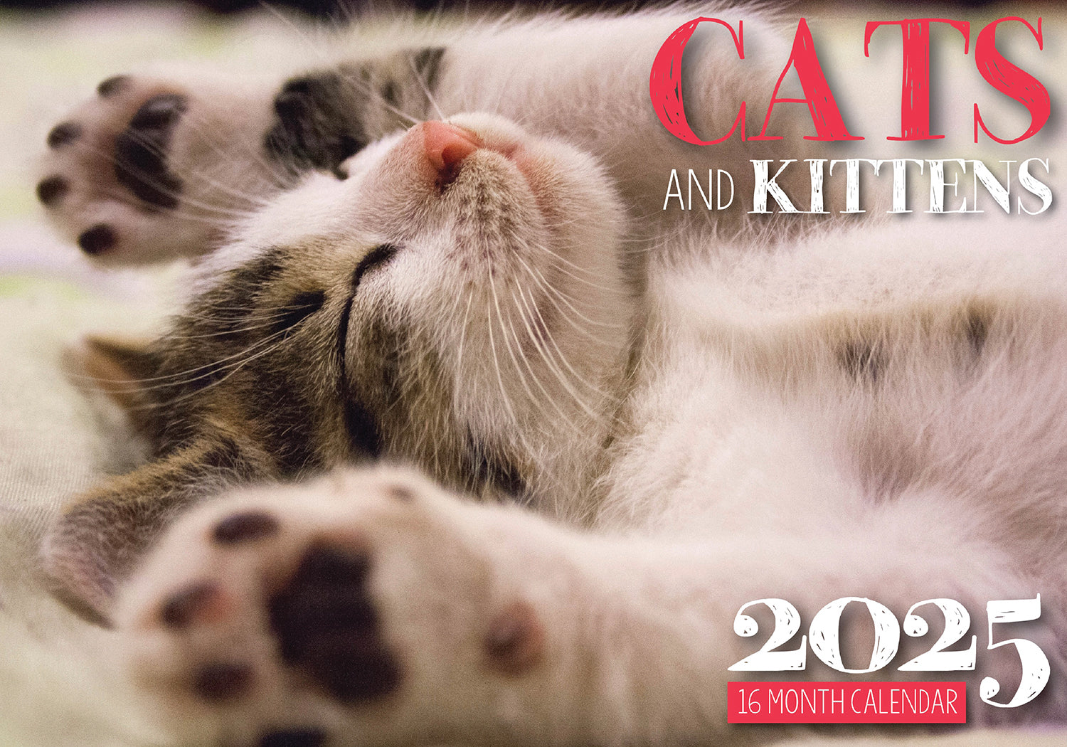 Calendars, Organisers & Planners: Cats And Kittens - 2025 Rectangle Wall Calendar 16 Months Hanging Animal Planner