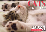Calendars, Organisers & Planners: Cats And Kittens - 2025 Rectangle Wall Calendar 16 Months Hanging Animal Planner