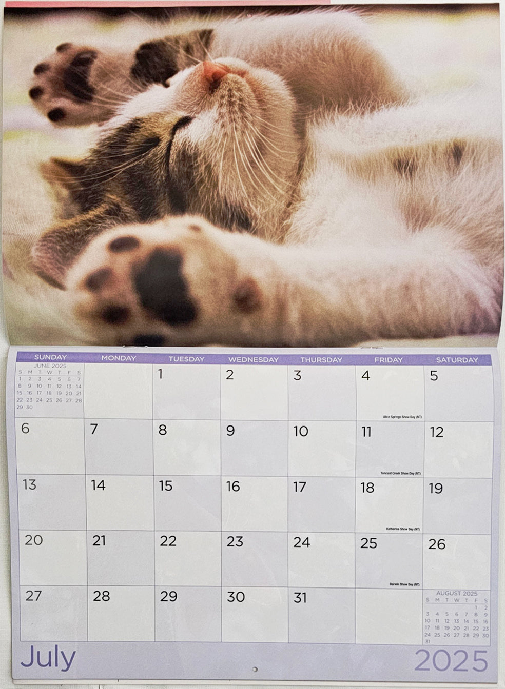 Calendars, Organisers & Planners: Cats And Kittens - 2025 Rectangle Wall Calendar 16 Months Hanging Animal Planner