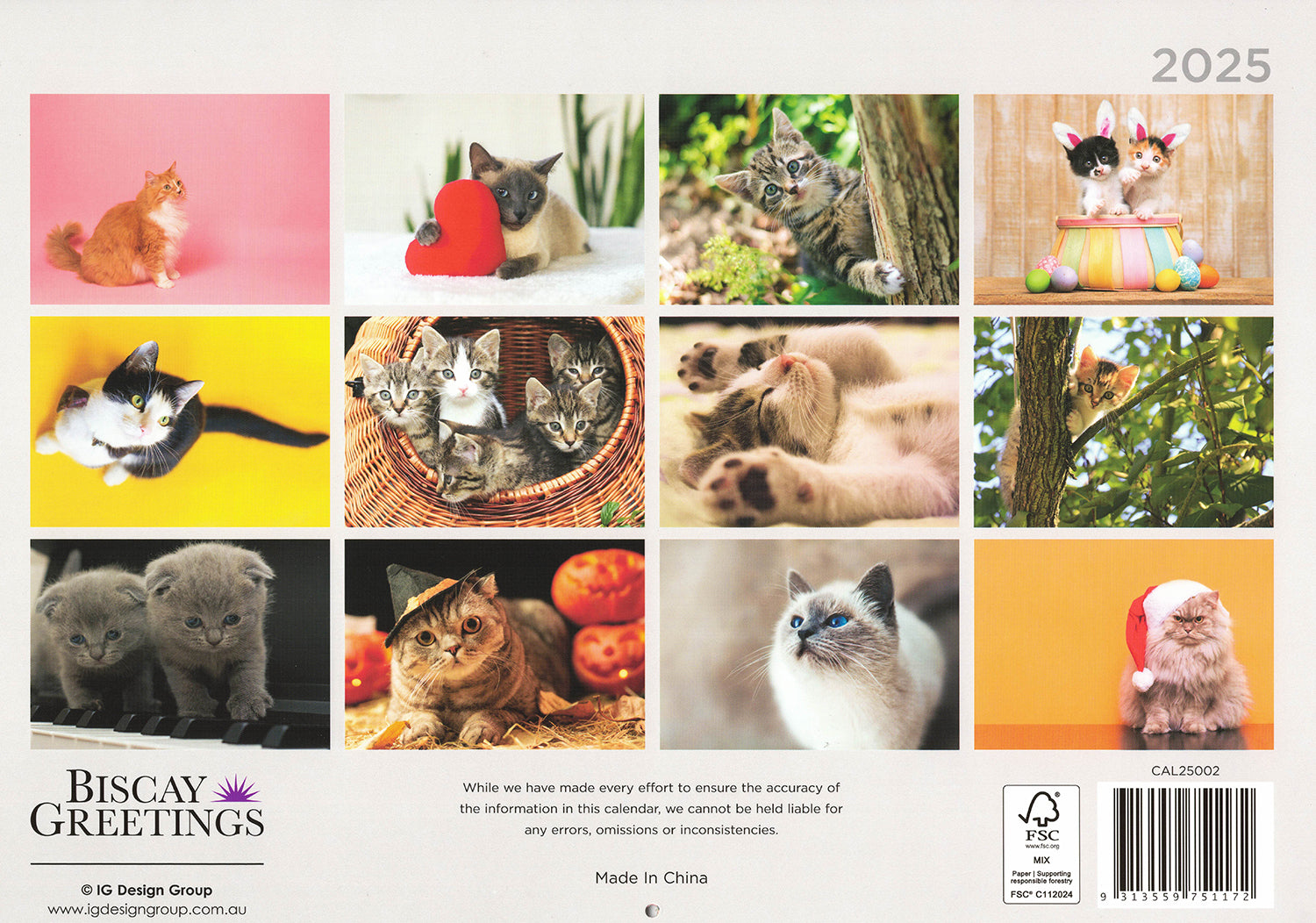 Calendars, Organisers & Planners: Cats And Kittens - 2025 Rectangle Wall Calendar 16 Months Hanging Animal Planner