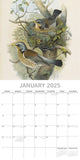 Calendars, Organisers & Planners: Garden Birds - 2025 Square Wall Calendar Pets Animals 16 Months Premium Planner