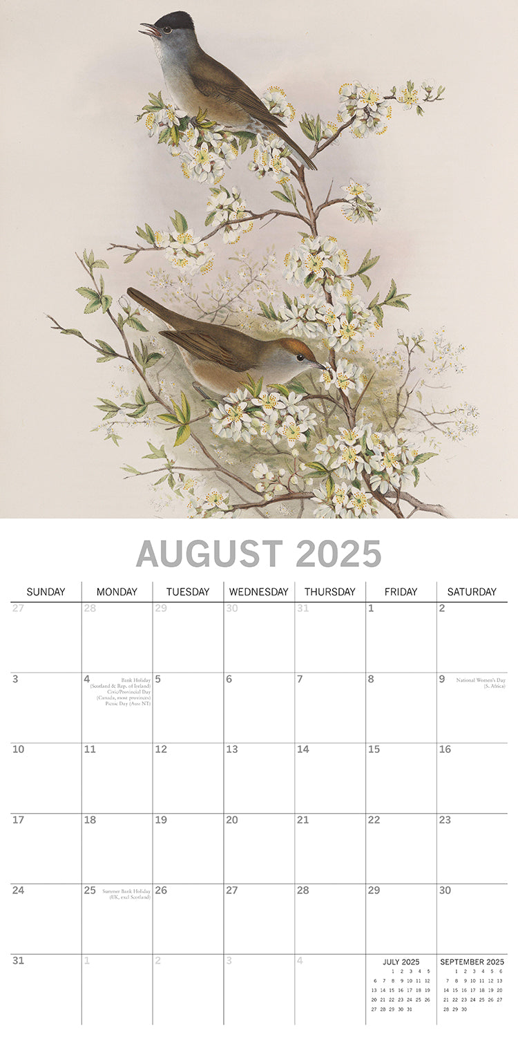 Calendars, Organisers & Planners: Garden Birds - 2025 Square Wall Calendar Pets Animals 16 Months Premium Planner