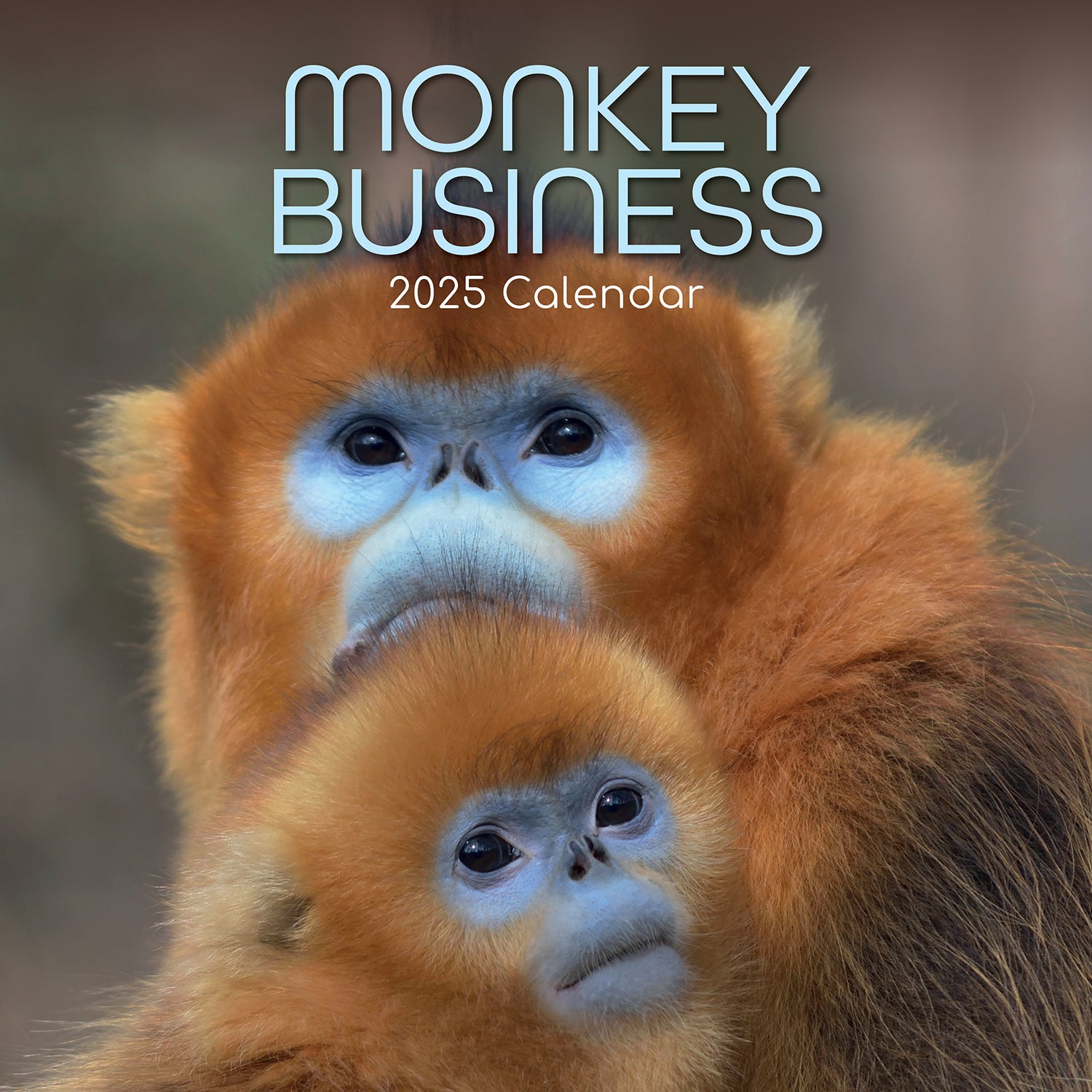 Calendars, Organisers & Planners: Monkey Business 2025 Square Wall Calendar Animals 16 Months Premium Planner Gift