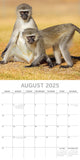 Calendars, Organisers & Planners: Monkey Business 2025 Square Wall Calendar Animals 16 Months Premium Planner Gift