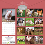 Calendars, Organisers & Planners: Piggies - 2025 Square Wall Calendar Pets Animals 16 Months Premium Planner Gift
