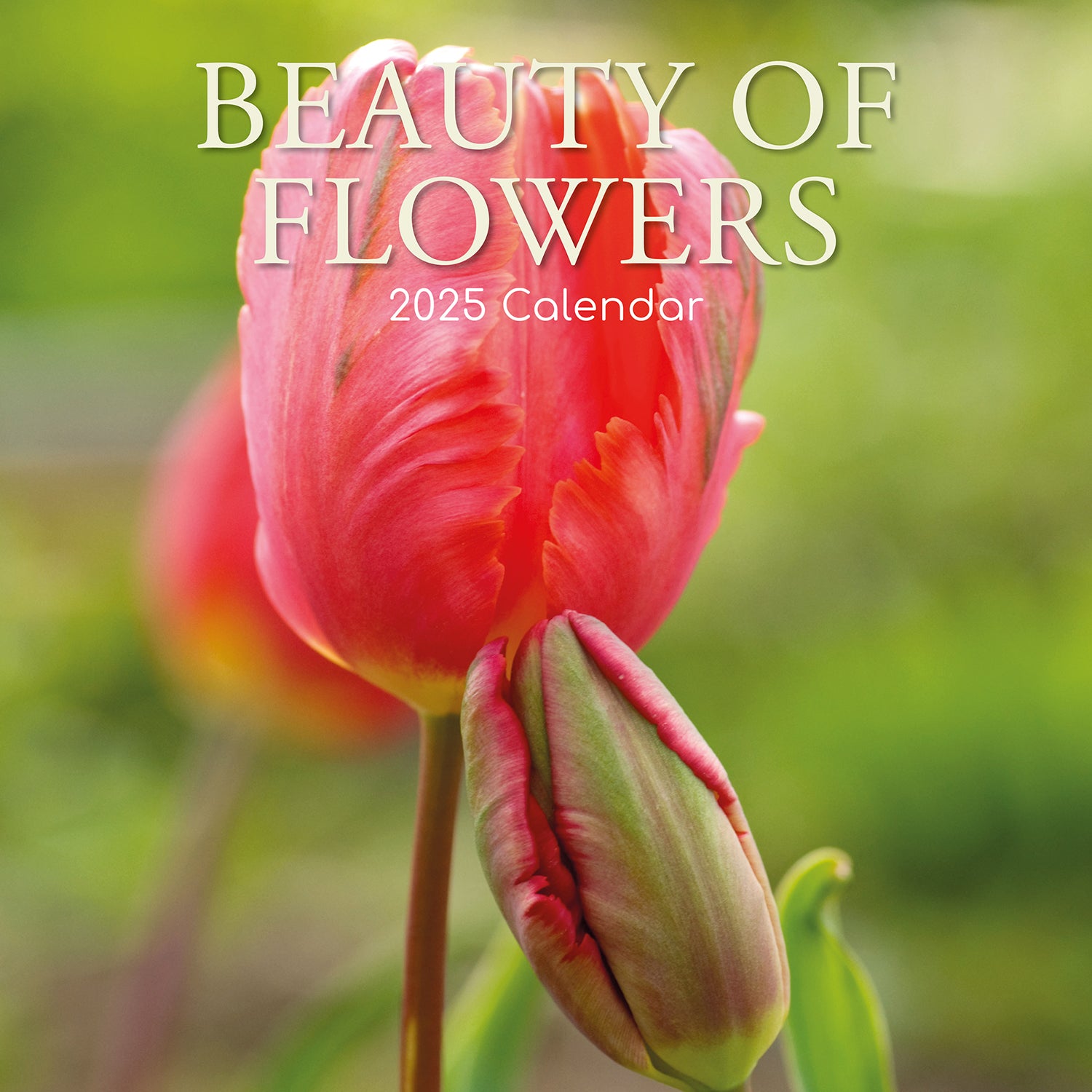 Calendars, Organisers & Planners: Beauty of Flowers 2025 Square Wall Calendar Floral 16-Month Premium Planner Gift