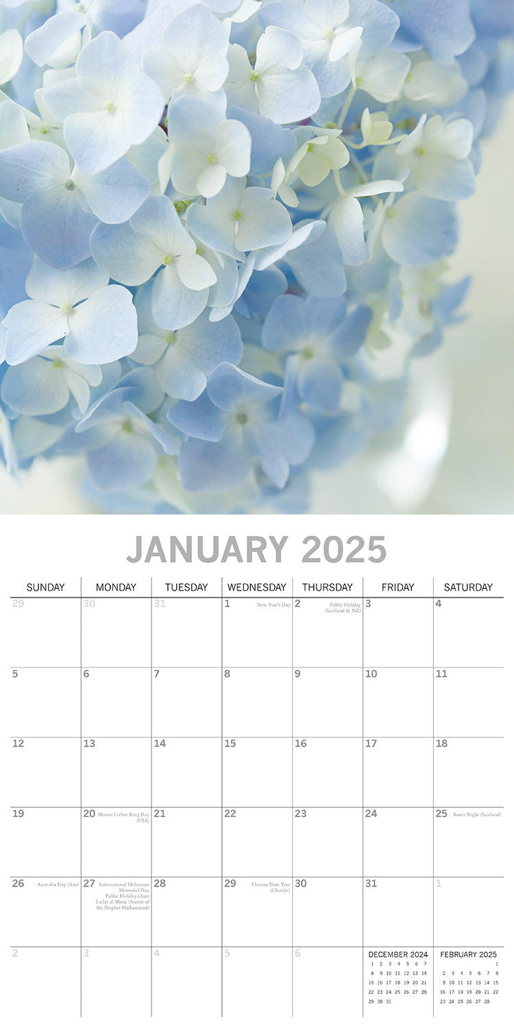 Calendars, Organisers & Planners: Beauty of Flowers 2025 Square Wall Calendar Floral 16-Month Premium Planner Gift