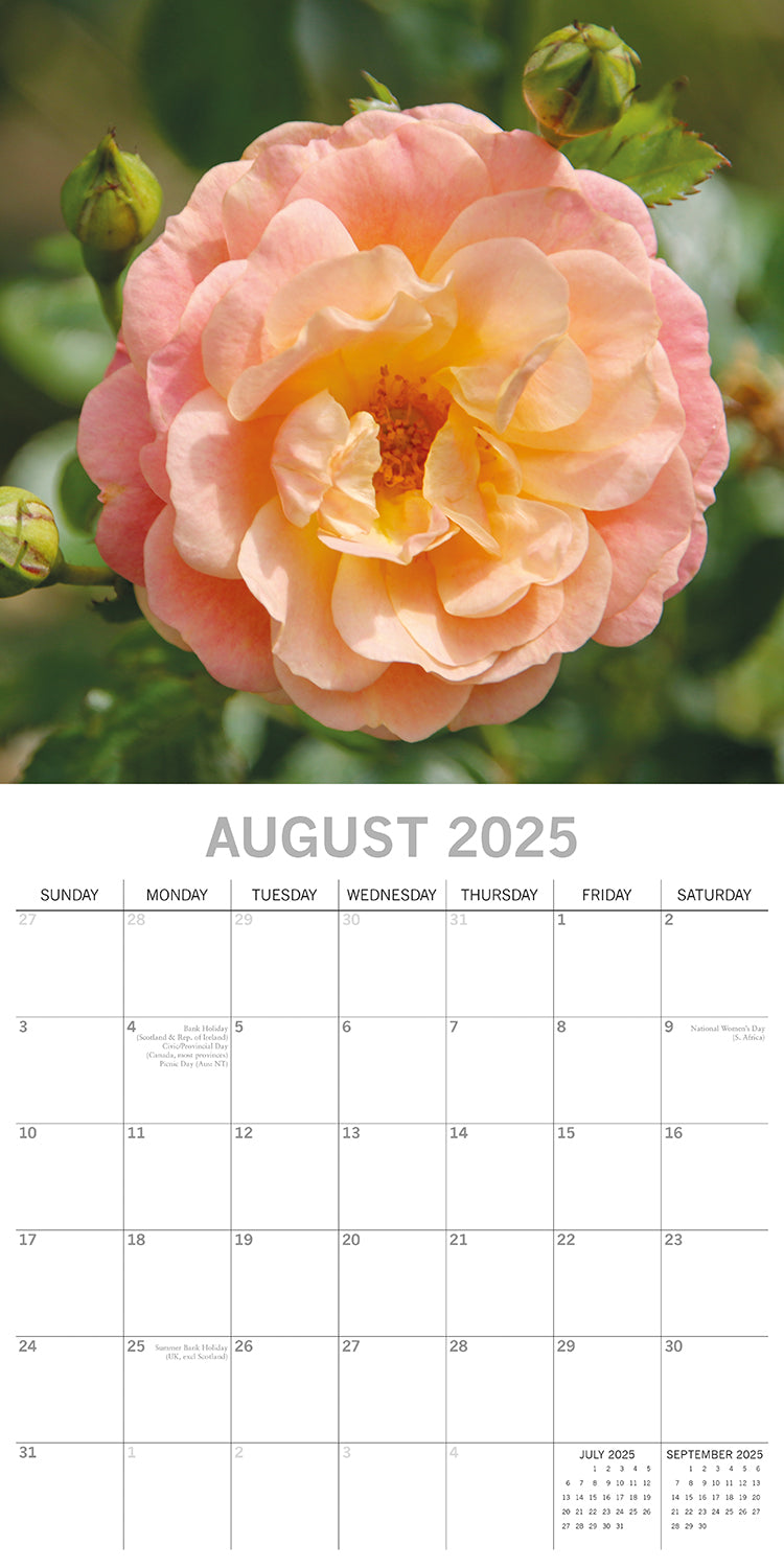 Calendars, Organisers & Planners: Beauty of Flowers 2025 Square Wall Calendar Floral 16-Month Premium Planner Gift