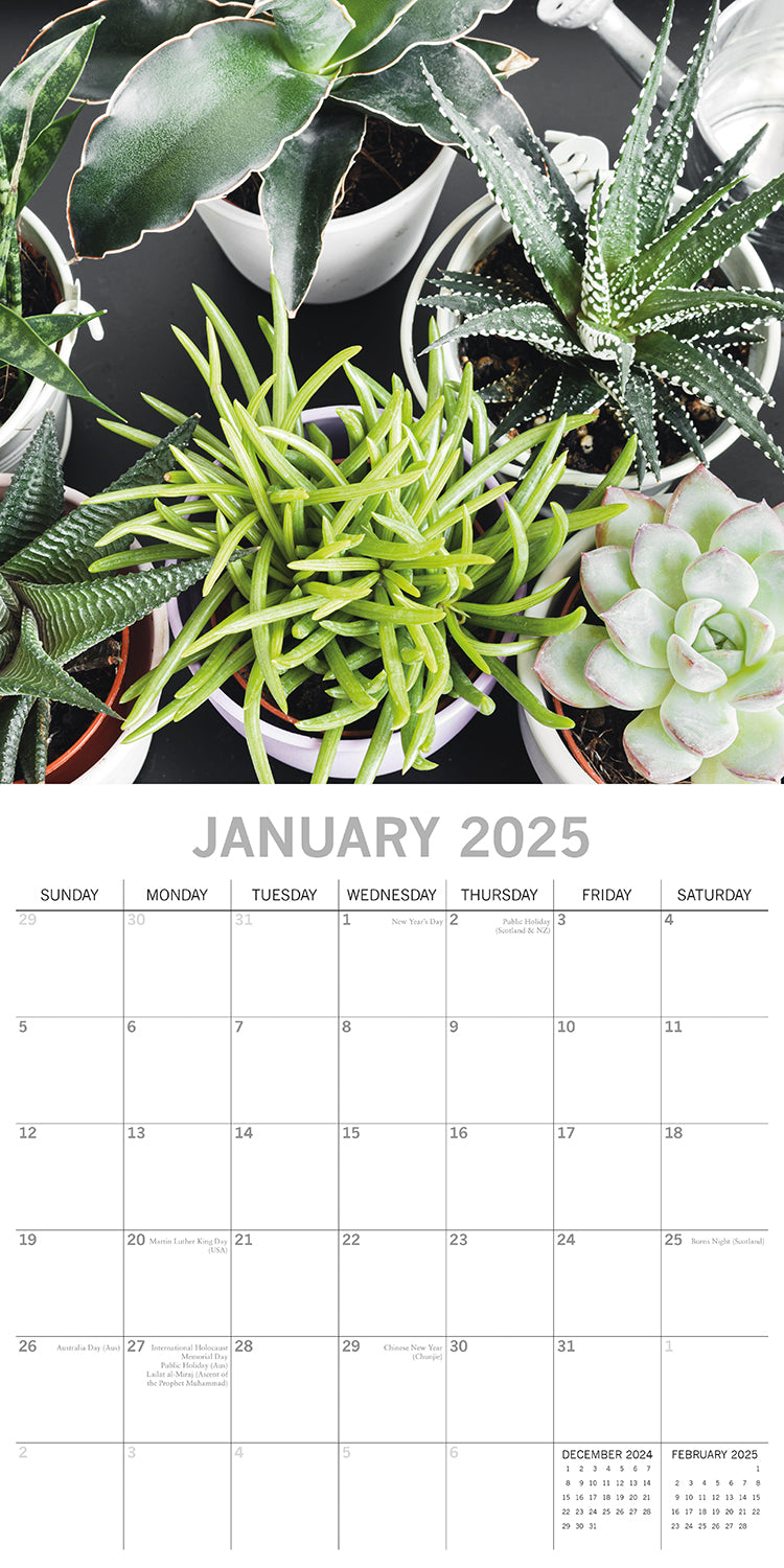 Calendars, Organisers & Planners: House Plants - 2025 Square Wall Calendar Floral 16 Months Premium Planner Gift