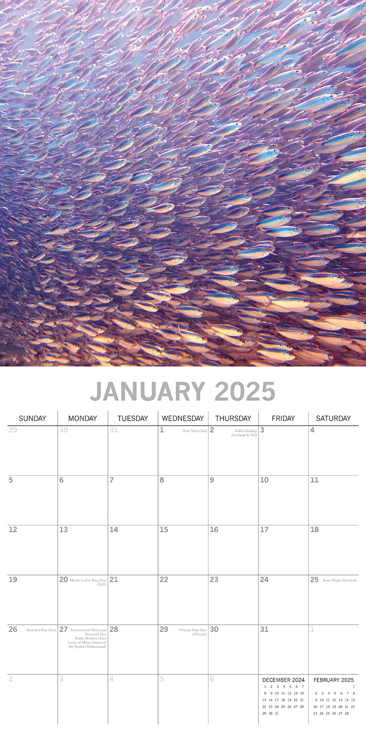Under the Sea 2025 Square Wall Calendar 16 Months New Year Premium Planner Gift