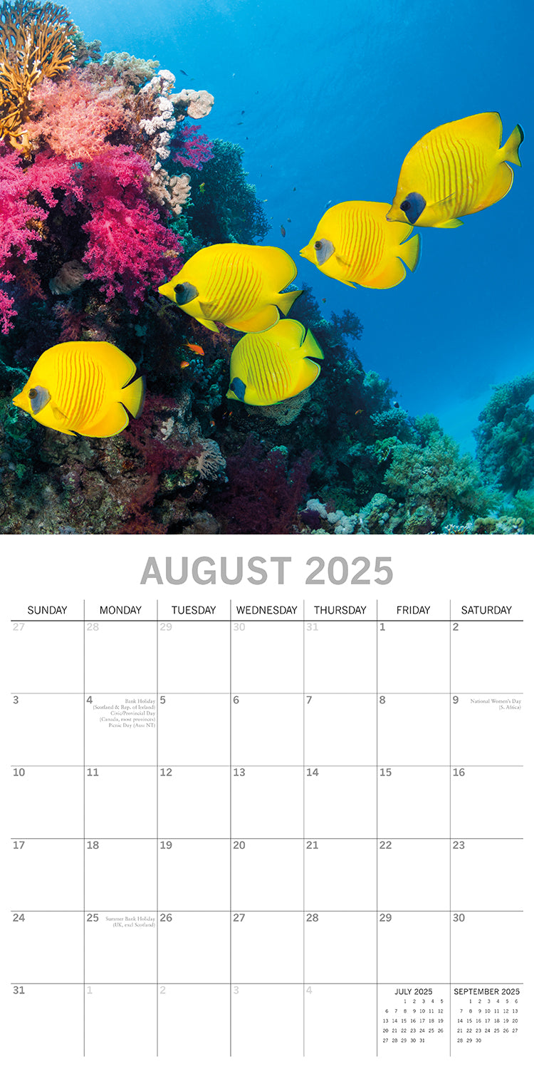 Under the Sea 2025 Square Wall Calendar 16 Months New Year Premium Planner Gift