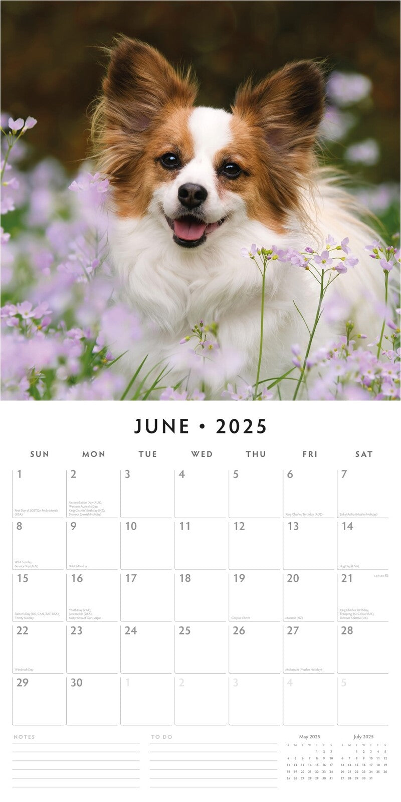 Calendars, Organisers & Planners: Papillions - 2025 Square Wall Calendar Animals 16 Months Premium Planner Gift