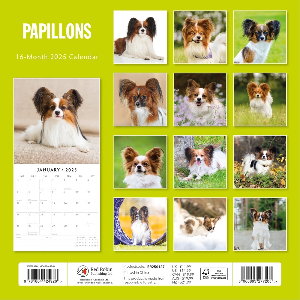 Calendars, Organisers & Planners: Papillions - 2025 Square Wall Calendar Animals 16 Months Premium Planner Gift