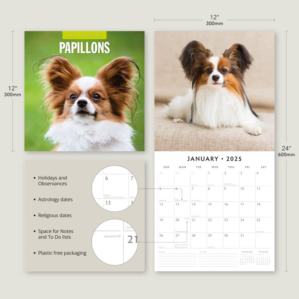 Calendars, Organisers & Planners: Papillions - 2025 Square Wall Calendar Animals 16 Months Premium Planner Gift