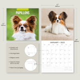 Calendars, Organisers & Planners: Papillions - 2025 Square Wall Calendar Animals 16 Months Premium Planner Gift