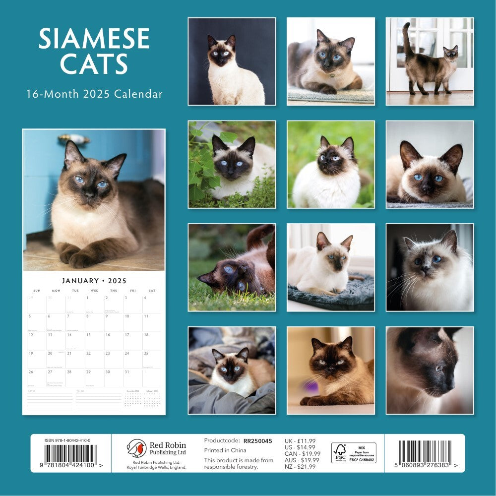 Calendars, Organisers & Planners: Siamese Cats - 2025 Square Wall Calendar Animals 16 Months Premium Planner Gift