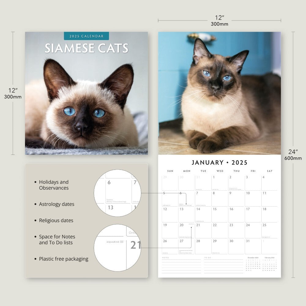 Calendars, Organisers & Planners: Siamese Cats - 2025 Square Wall Calendar Animals 16 Months Premium Planner Gift