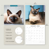 Calendars, Organisers & Planners: Siamese Cats - 2025 Square Wall Calendar Animals 16 Months Premium Planner Gift