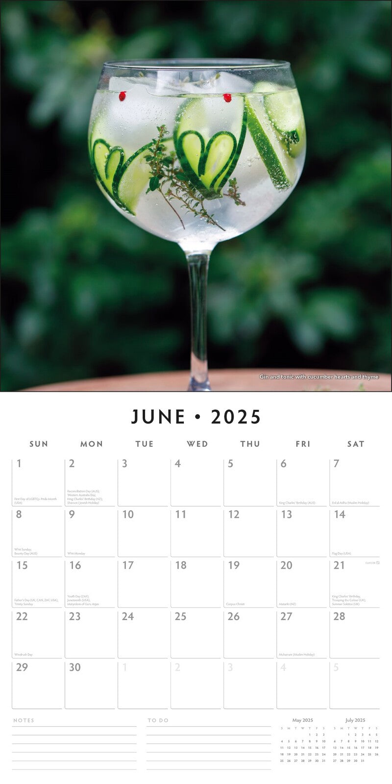 Calendars, Organisers & Planners: Gin O'Clock - 2025 Square Wall Calendar Food & Drink 16 Months Premium Planner