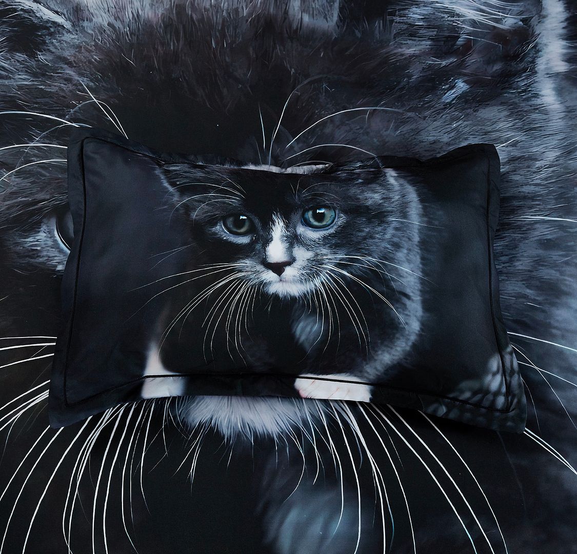 Duvet Covers: Cat Quilt Cover Set - King Size