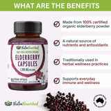 Organic Elderberry Capsules