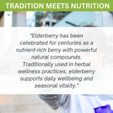 Organic Elderberry Capsules