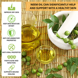 Massage Oils: Neem Seed Oil - Organic 50ml