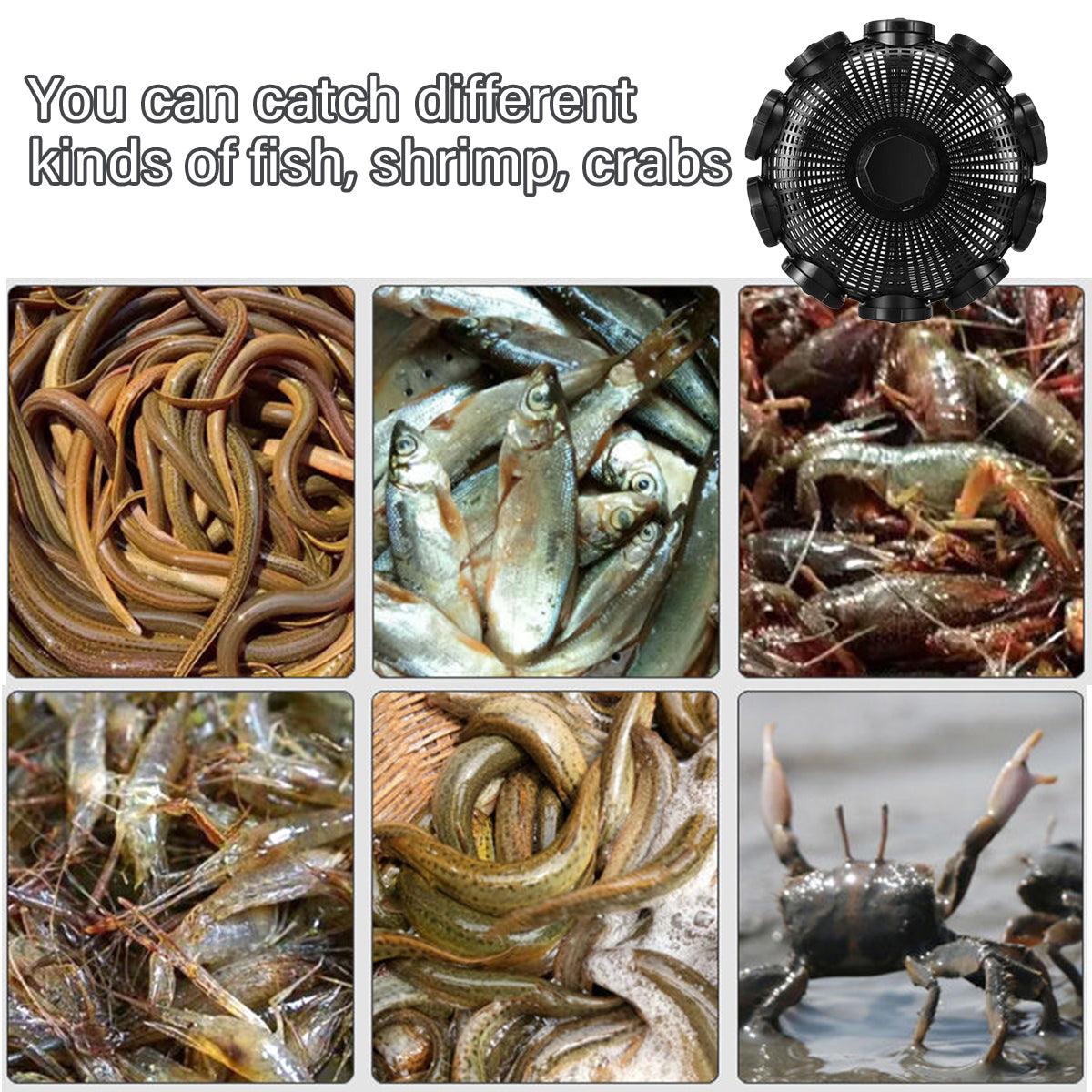 Fishing Tackle: 10Hole Eel Fishing Trap Cage Loach Fish Shrimp Net Folding Portable Catch Basket