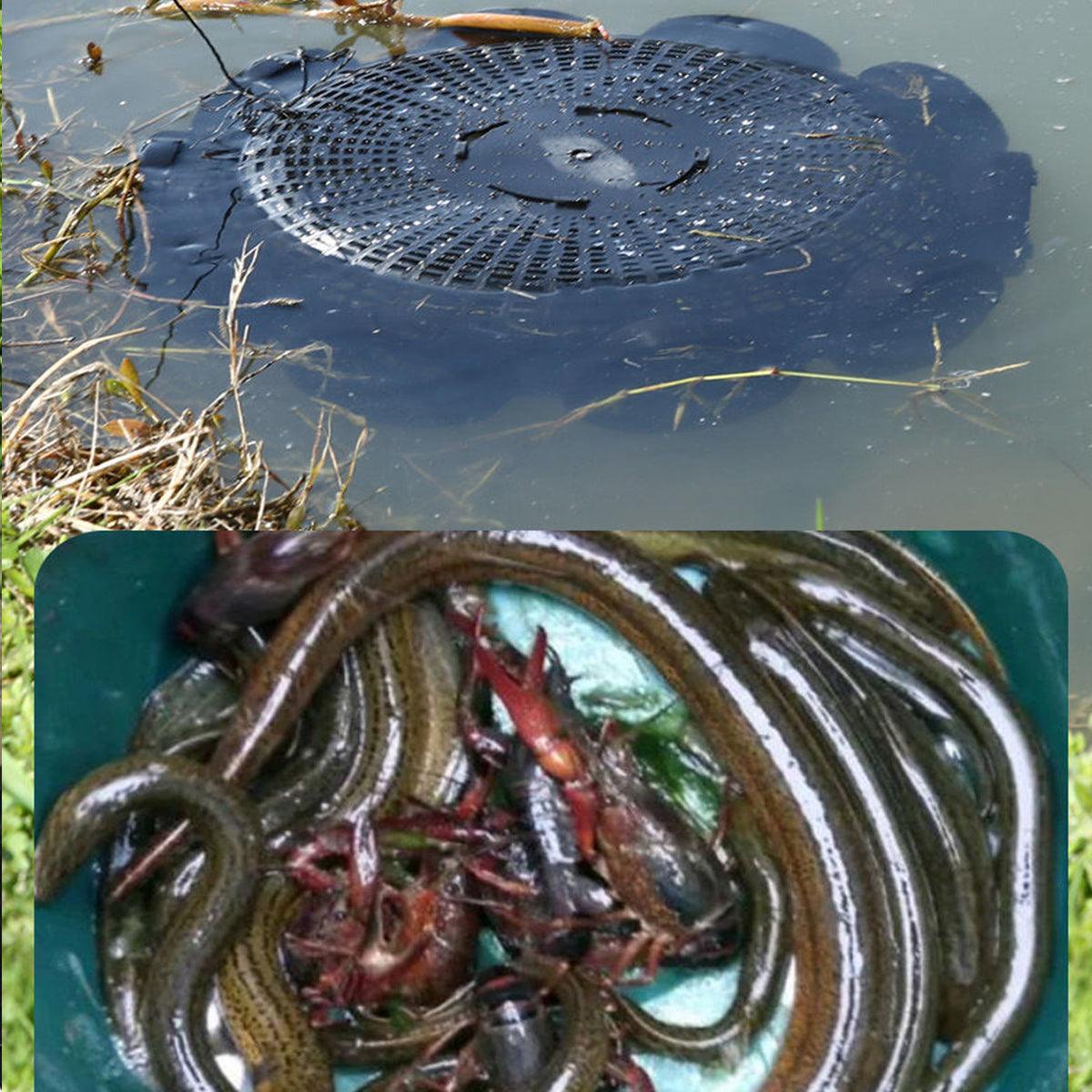 Fishing Tackle: 10Hole Eel Fishing Trap Cage Loach Fish Shrimp Net Folding Portable Catch Basket