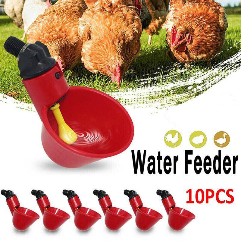 Cat Bowls, Feeders & Waterers: 10 Pcs Automatic Poultry Waterer Cups for Chickens & Birds