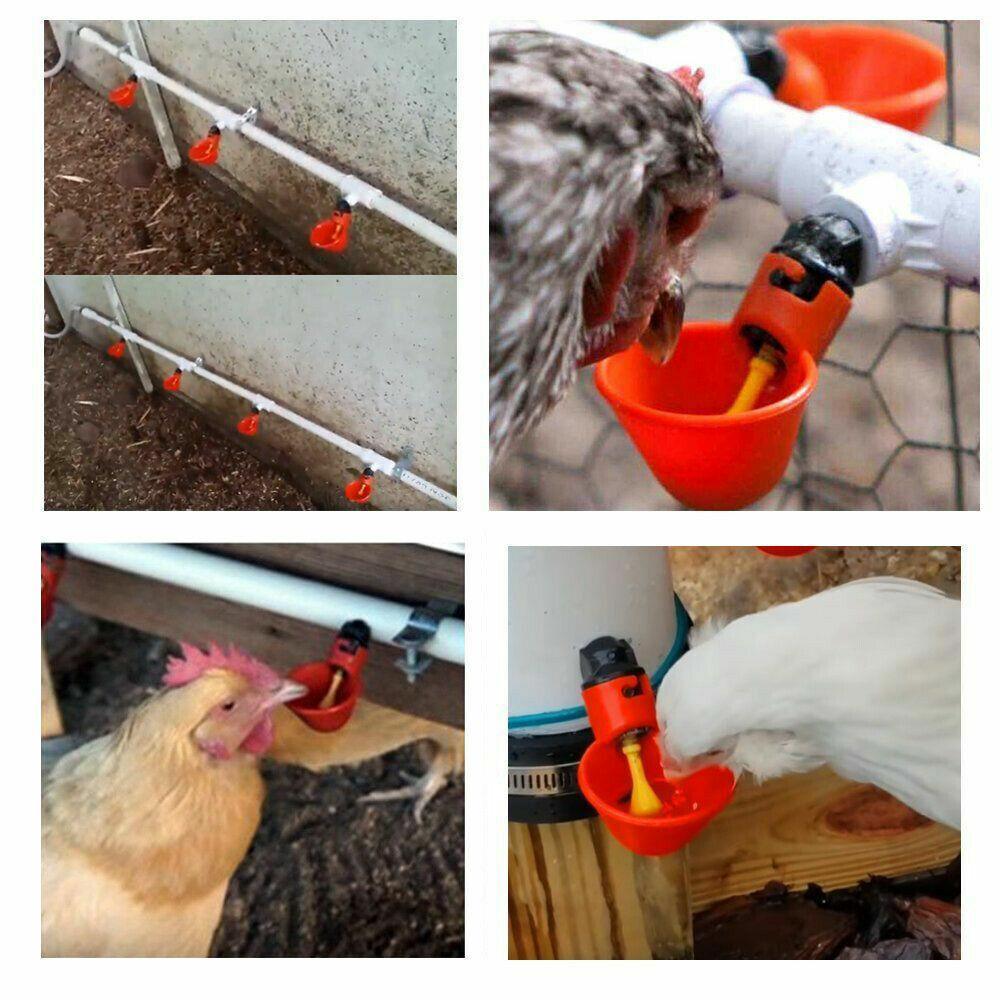 Cat Bowls, Feeders & Waterers: 10 Pcs Automatic Poultry Waterer Cups for Chickens & Birds