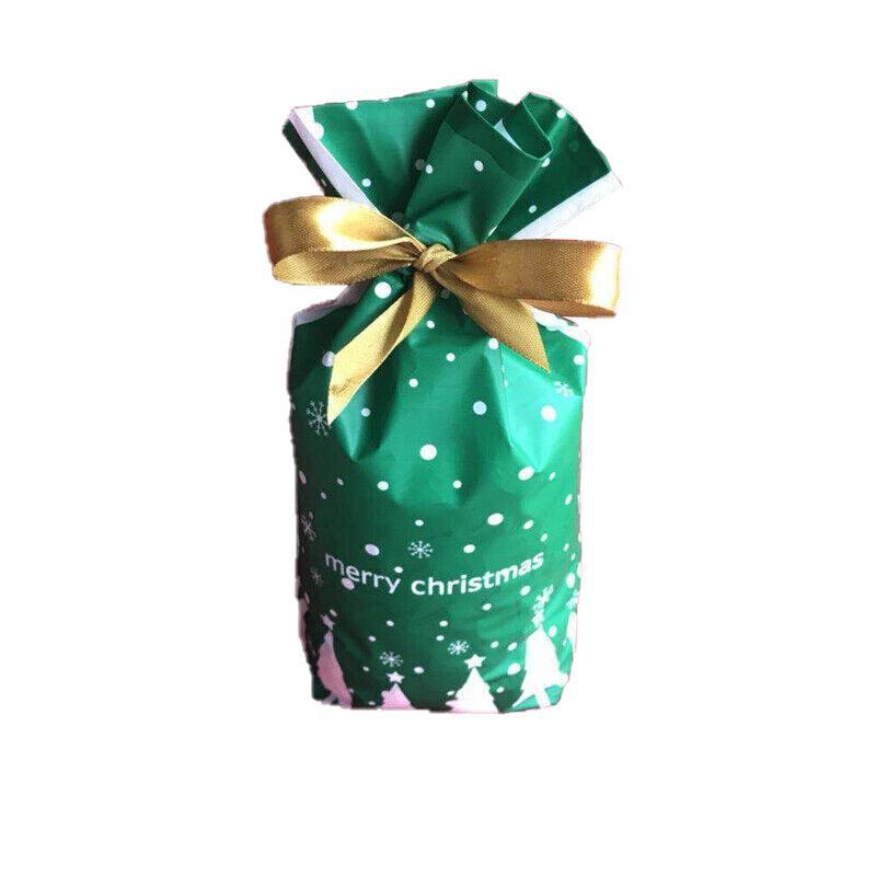Gift Bags: 10pcs Christmas Candy Bags Gift Treat Drawstring Pouches Biscuit Cookie Packaging - 10Pcs Bag-Bike Bear