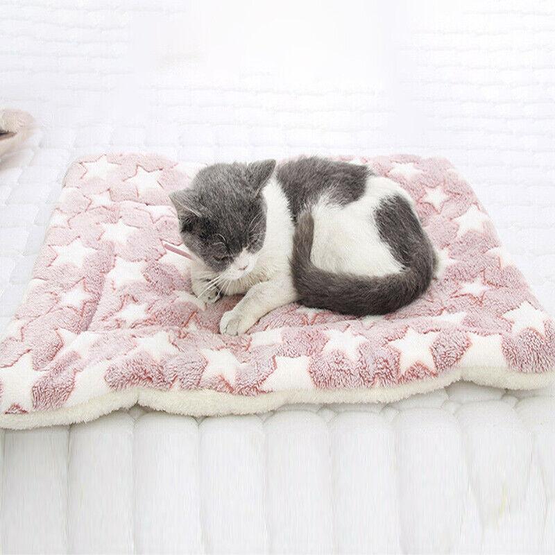 Dog Beds: L Size Puppy Dog Cat Cushion Mattress Blanket Bed Soft Warm Pad Winter Kennel House - Blue Brownstar