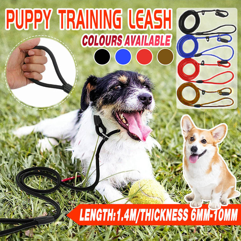 Dog Collars, Leads & Harnesses: Dog Training Correction Leash Lead Cesar Puppy Pets Millan Slip Nylon Rope 10*140mm - Black