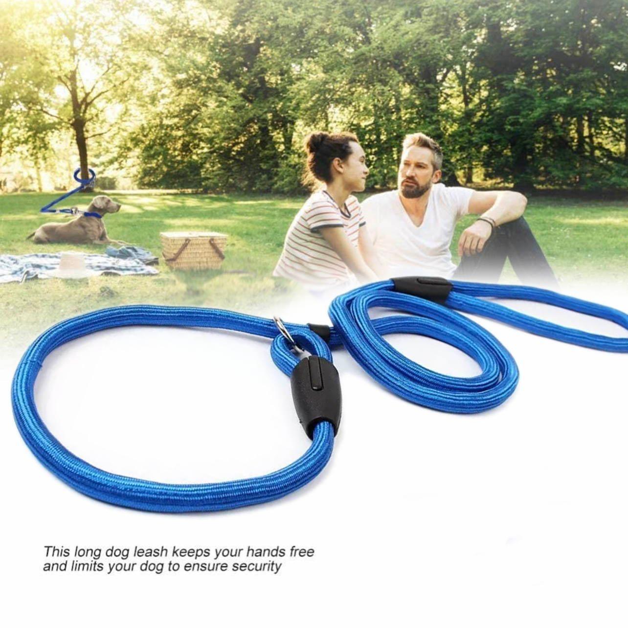 Dog Collars, Leads & Harnesses: Dog Training Correction Leash Lead Cesar Puppy Pets Millan Slip Nylon Rope 10*140mm - Blue