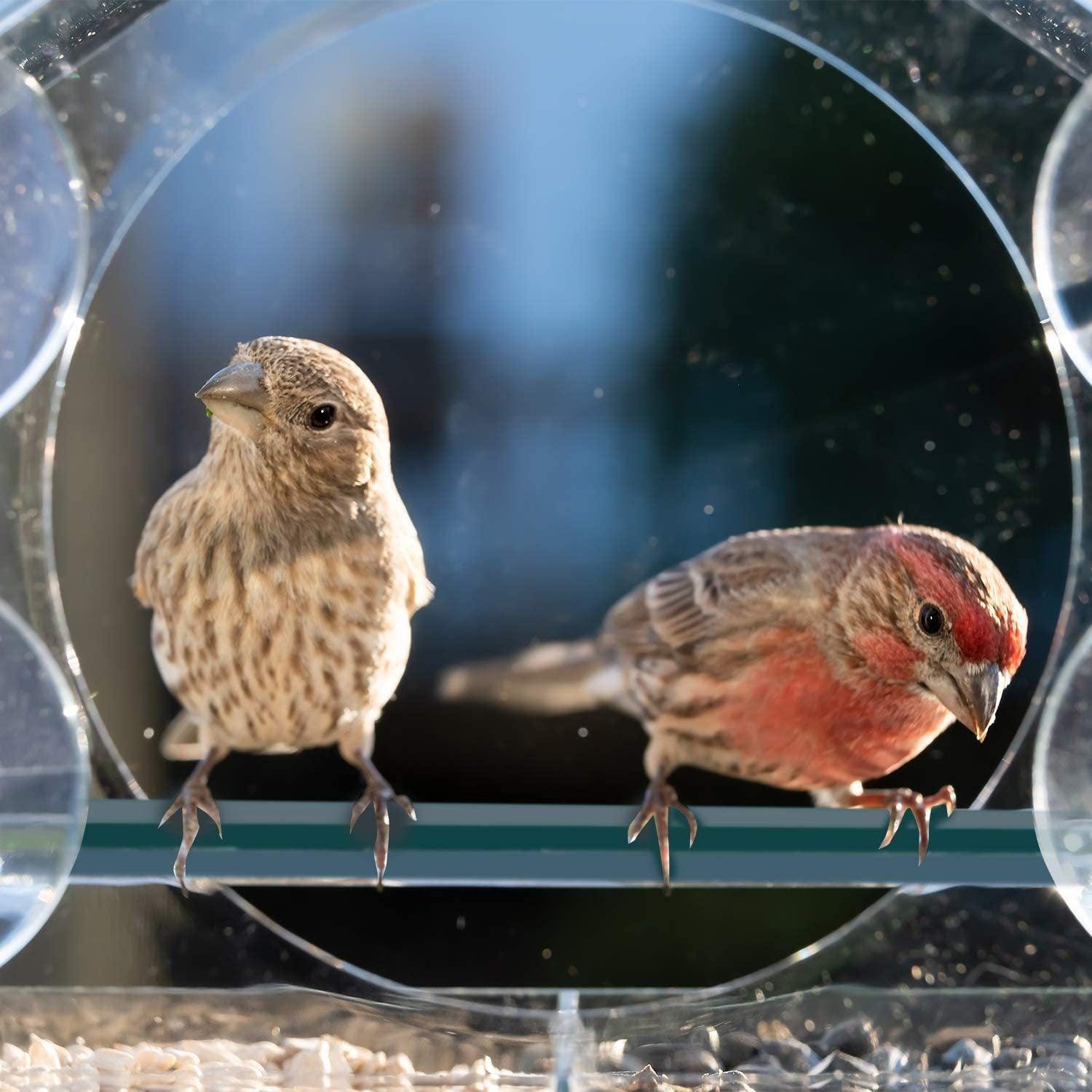 Bird Cage Accessories: Clear Acrylic Window Bird Feeder with Strong Suction Cups and Removable Seed Tray