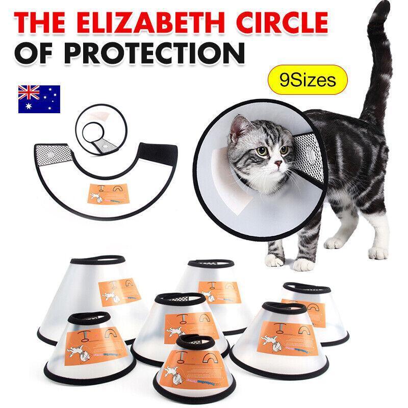 Pet ID Tags: Pet Cat Dog Protective Cone Collar Elizabethan E Collar Wound Healing Recovery - Large