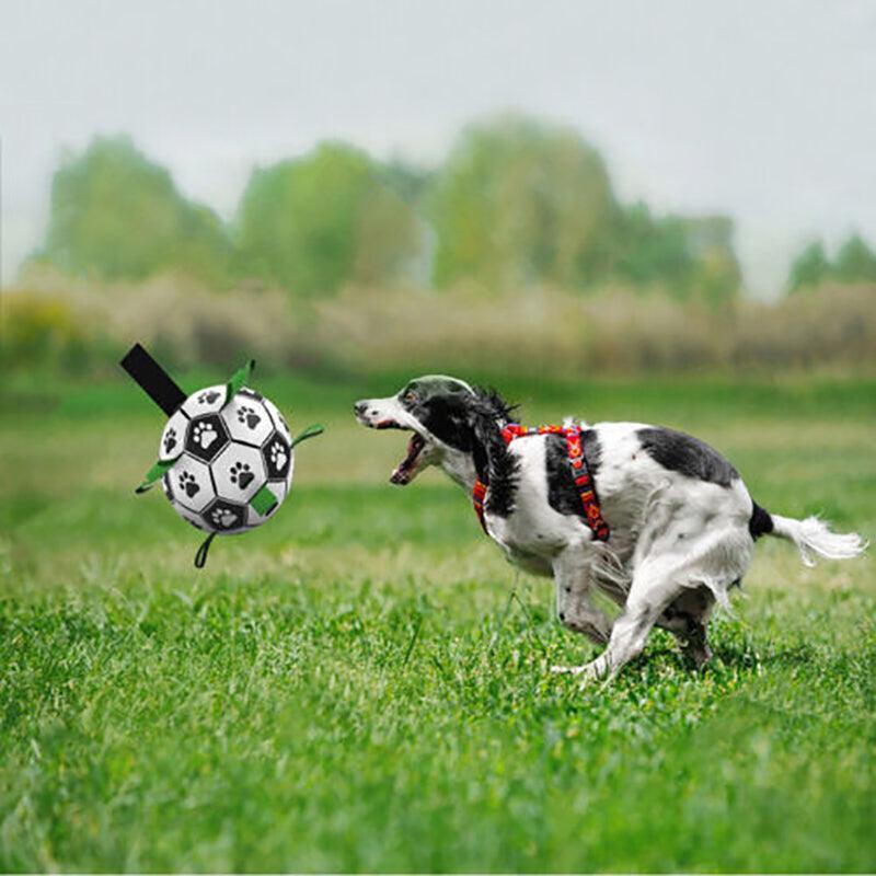 Dog Toys: Interactive Pet Football Dog Toys Grab Tabs Outdoor Training Soccer Chew Balls