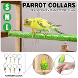 Coop & Hutch Accessories: Parrot Neck Collar Stainless Steel Bird Chain Training Adjustable Bird Leash - L-Diameter 2.2cm