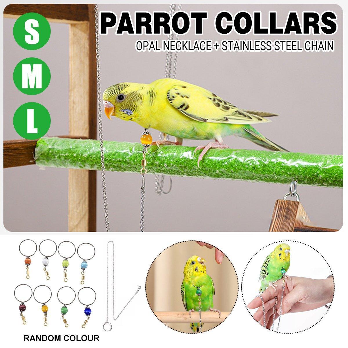 Coop & Hutch Accessories: Parrot Neck Collar Stainless Steel Bird Chain Training Adjustable Bird Leash - S-Diameter 1.6cm