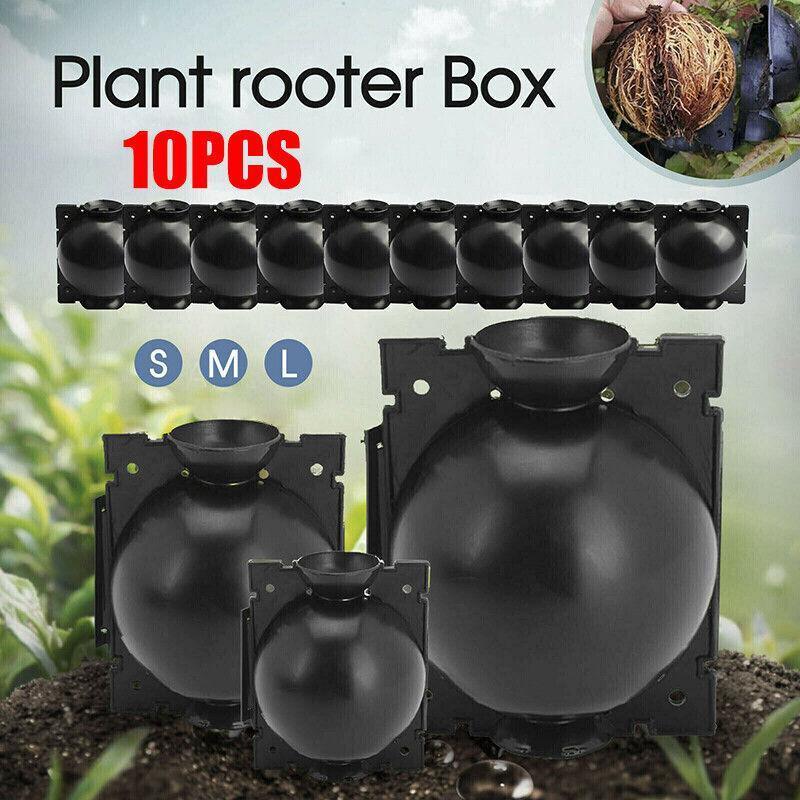 Gardening Accessories: 10Pcs Plant Rooting Ball High Pressure Propagation Box Grafting Breeding Device - S-5CM-10PCS